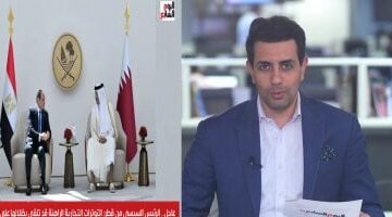 تفاصيل لقاء الرئيس السيسي ممثلي مجتمع الأعمال القطري ودعوتهم للاستثمار بمصر