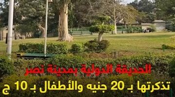 خروجة العيد 2025 بـ20 جنيها.. شاهد جولة "كده رضا" في الحديقة الدولية..فيديو