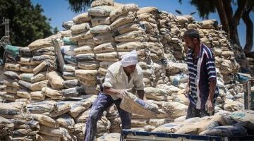 سعر الأسمنت اليوم.. يصل إلى 3350 جنيهاً للطن في 1 مايو 2025
