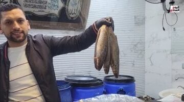 شاهد طريقة تنظيف الفسيخ والرنجة فى دقيقة واحدة