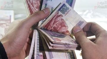 صناديق التأمين الخاصة تسجل استثمارات قياسية بـ4.3 مليار جنيه في يناير وفبراير 2025
