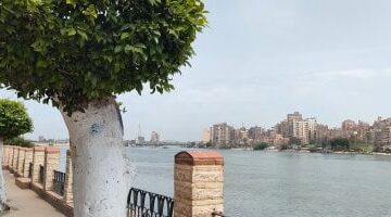 طقس الغربية.. شمس ساطعة وارتفاع درجات الحرارة بكافة الأنحاء.. فيديو