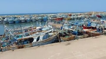 عاصفة ترابية تضرب كفر الشيخ: إعلان حالة طوارئ وإغلاق ميناء الصيد بالبرلس – شاهد الفيديو!