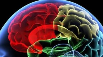 علامات لا تتجاهلها.. تدل على تلف الدماغ والأعصاب