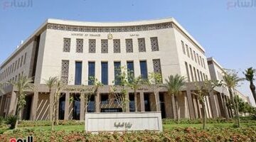 عودة خدمات الدعم الفني لتطبيق مبادرة سيارات المصريين بالخارج