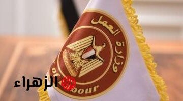 فرص عمل جديدة في السعودية برواتب تصل إلى 4000 ريال.. اكتشف التفاصيل الآن!