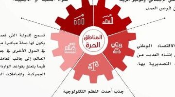 كيف تجذب المناطق الحرة الاستثمارات المحلية والأجنبية؟.. إنفوجراف