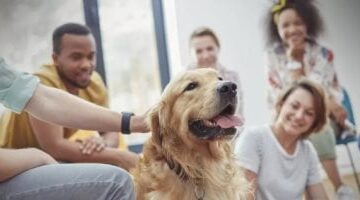 ليس فقط للصحة النفسية: 5 طرق تجعل تربية حيوان أليف يعزز صحة قلبك