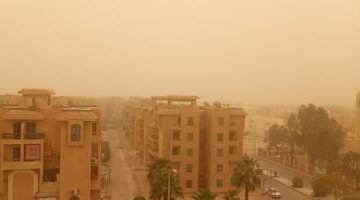 مشروبات طبيعية لتطهير الرئة من التلوث والأتربة في الربيع