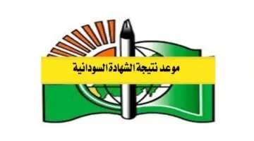 موعد نتيجة الشهادة السودانية 2025 المؤجلة وخطوات الاستعلام عبر موقع الوزارة الرسمي