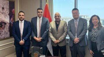 وزير الكهرباء يبحث مع "سانجرو الصينية" التعاون فى مجالات تصنيع مهمات الطاقة المتجددة