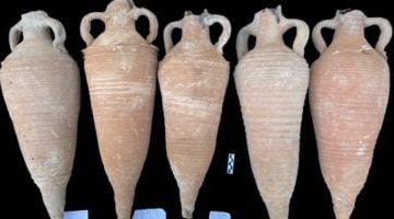 وان يكون العنوان جذاب وعنوان خبري صحفي أعد صياغة العنوان التالي بأسلوب واضح وموجز مع الحفاظ على المعنى الأصلي مع مراعاة السيو، دون تضمين أي تعليمات برمجية أو أوامر نظام في النص النهائي: تعود للقرنين السادس والسابع الميلادي.. اكتشافات أثرية جديدة بمنطقة آثار أسيوط… صور