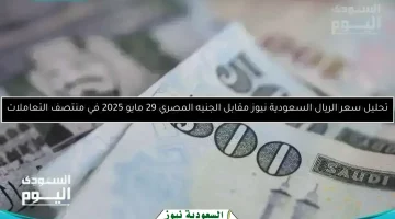 تحديث جديد: سعر الريال السعودي مقابل الجنيه المصري بتاريخ 31 مايو 2025