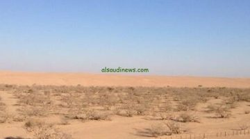 تحذير عاجل: العشب اليابس يهدد المحميات مع ارتفاع درجات الحرارة