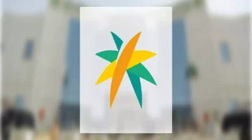 دليل شامل للشركات والموظفين.. كل ما تريد معرفته عن قواعد الإعلان عن الوظائف والمقابلات