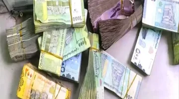نقابة الصرافين في عدن تصدر تحذيراً عاجلاً رداً على قرار البنك المركزي اليمني