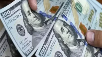 مع فتح محلات الصرافة.. ارتفاع مفاجئ للريال أمام العملات الأخرى في عدن وصنعاء اليوم!