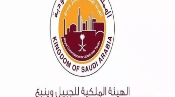 برنامج التأهيل والإحلال يعلن عن فرص وظيفية متاحة فورًا