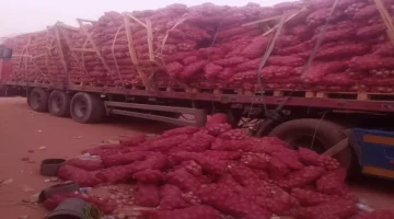 كارثة حدودية.. "ثقب أسود" في منفذ الوديعة يبتلع صادرات البصل والمنتجات الزراعية اليمنية قبل الوصول إلى الأسواق السعودية!