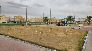 تصحر الحدائق يثير قلق المتنزهين.. وأمانة العاصمة المقدسة تتفاعل