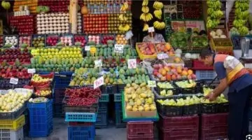 ارتفاع التضخم في مصر إلى 13.9%.. تحديات اقتصادية متزايدة