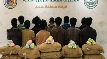 عسير: القبض على 11 مهرباً بـ165 كيلوغراماً من القات