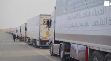 كارثة الجوع في غزة: نصف مليون يواجهون الموت الوشيك