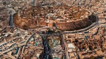 فرصة عمل غريبة في أربيل: 2 دولار مقابل كل كلب ضال!