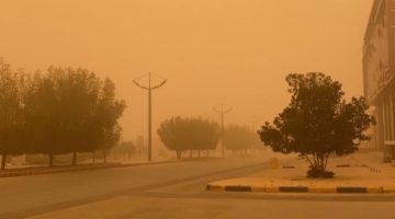 رفع إنذار طقسي عاجل في الشرقية.. تحذيرات من عواصف غبار وانخفاض حاد في الرؤية