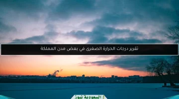 تقرير يسجل أدنى درجات الحرارة في مدن المملكة