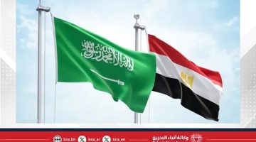 مصر والسعودية يعززان التعاون الصحي في لقاء رسمي حيوي