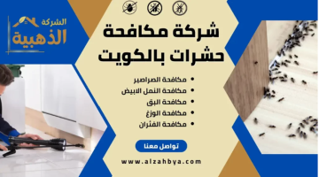 استراتيجيات فعالة لطرد الحشرات الطائرة الصغيرة من منزلك