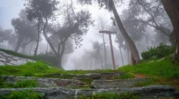 الباحة تحتضن أمطاراً غزيرة مفاجئة