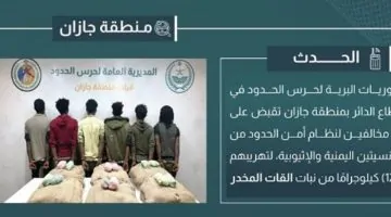 اعتقال 6 مهربين بحوزتهم 120 كيلوغراماً من القات في جازان