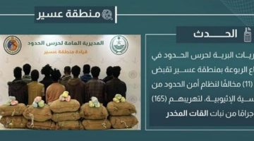 اعتقال 11 مهربًا بتهمة تهريب 165 كيلوغرامًا من القات في عسير