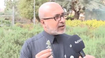الزعتر.. مضاد حيوي طبيعي يعزز صحة الجهاز التنفسي