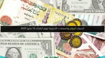 أحدث أسعار الدولار والعملات الأجنبية لـ 13 مايو 2025.. تحديث يومي حيوي!