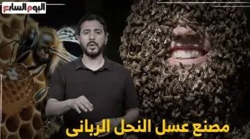 أصغر مصنع عسل في العالم داخل حشرة: اكتشف مراحل إنتاج العسل مع تليفزيون اليوم السابع