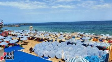 إسكندرية بعد ليلة إعصار شديد: هل كان هناك شيء حدث؟ | فيديو