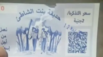 اكتشف جولة ساحرة على كورنيش دمياط مع بنت الشاطئ.. فسحة مذهلة بتكلفة منخفضة! - فيديو حصري