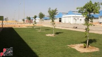 اكتشف خريطة المصانع المتاحة للمستثمرين عبر المحافظات.. إنفوجرافيك حصري
