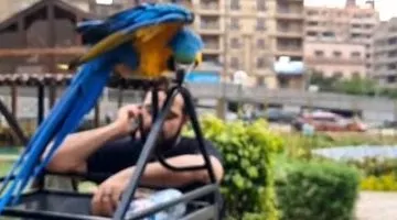 اكتشف عجائب عالم الطيور في حديقة ابن سندر: كل ما تخيلته وأكثر – شاهد الفيديو الآن