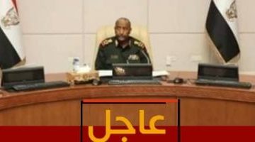 السودان يقطع علاقاته الدبلوماسية مع الإمارات بتهمة العدوان – شاهد الفيديو!