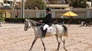 اليوم..إنطلاق نهائي بطولة الجمهورية للفروسية لقادرون باختلاف لذوي الهمم 5/11/2025 12:39:29 AM