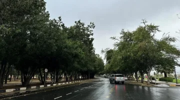 توقعات طقس قوية اليوم.. أمطار رعدية وبرد ورياح تضرب 5 محافظات!