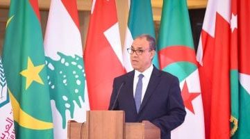 بدر عبد العاطى: مصر تواصل مراجعتها الخامسة مع صندوق النقد الدولى بخطى ثابتة
