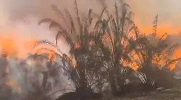 تليفزيون اليوم السابع يكشف جهود مكافحة حريق الكتان في الغربية.. شاهد الفيديو الآن