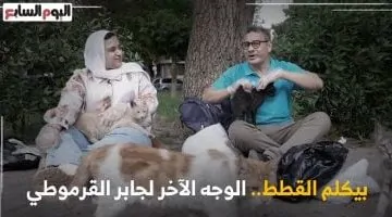 جابر القرموطي يكشف سر تجواله في الشوارع لإطعام القطط والكلاب أمام تلفزيون اليوم السابع
