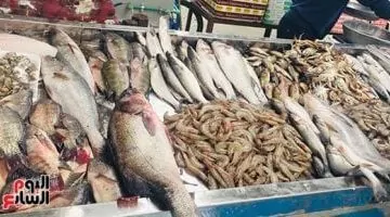 جولة حية داخل سوق الأسماك بالإسماعيلية.. فيديو حصري من "اليوم السابع"