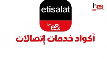 أكواد شركة اتصالات مصر الجديدة.. تجديد باقات الإنترنت والمكالمات ومعرفة رقمك بخطوة واحدة